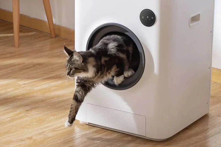 cat litter box for multiple cats