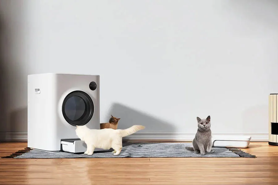 biggest litter box