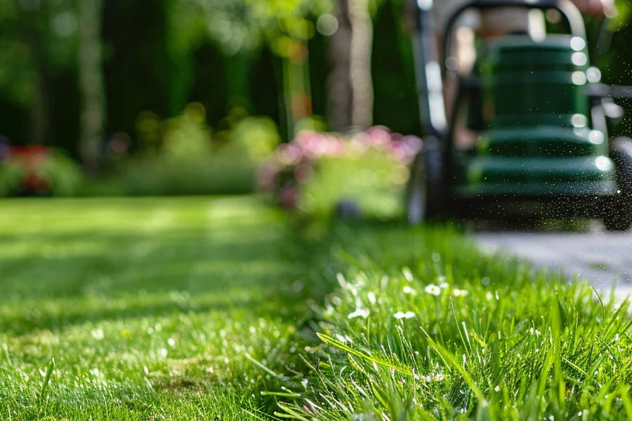 best electric lawn mower for small lawns