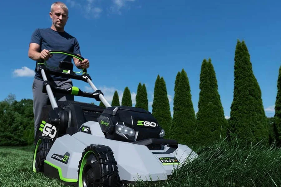 small lawn cutter